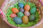 brown free range colored easter eggs