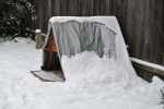 chicken coop covered in snow